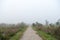 Long foggy path