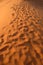 Long footprints in wild brown Sahara Desert