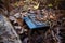 Long forgotten keyboard abandoned in the woods