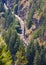 Long freight train passing through the evergreen woods and mountains. Cargo train with fuel passing through the forest