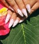 Long French nails with white manicure on a woman`s hand