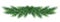 Long garland of Christmas tree branches . Realistic fir-tree bo