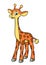 Long giraffe character animal africa illustration cartoon