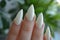 Long Gradient Ombre Acrylic Nails Demonstrated on a Neutral Background