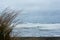 Long grass on a beach in front of a stormy ocean