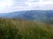 Long grass on a mountainside