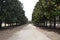 Long gravel driveway lined with green trees