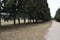 Long gravel driveway lined with green trees