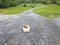 Long gravel path with cinder block and brick