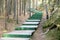 Long green wooden ladder in the wood as the road