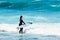 Long Haired Brunette Woman Entering The Atlantic Ocean To Surf Waves On Las Americas Beach. April 11, 2019. Santa Cruz De Tenerife