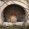 Long Haired Cat Inspecting Dried Flower Arrangement in Terracotta Urn, Greece