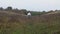 Long-haired woman in wedding dress riding galloping horse through valley