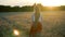 Long-haired young woman straightens her hair and poses for a video in a wheat field. Back view