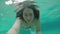 A long-haired young woman in a swimsuit is diving and swimming underwater