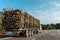 Long heavy industrial wood carrier cargo vessel truck trailer with big timber pine, spruce, cedar driving on highway