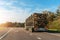 Long heavy industrial wood carrier cargo vessel truck trailer with big timber pine, spruce, cedar driving on highway