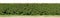 A long hedge of cut decorative bush. Isolated on top high resolution panoramic collage