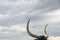 Long Horn Bull looking to Cloudy Sky, grab bull by horns