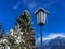 Long icicle on street light lamp next to pine tree covered with