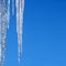 Long icicles hangs over blue cloudless sky