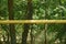 A long iron yellow gas pipe along a metal fence from a grid in a park near green vegetation