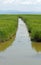 long irrigation canal in the middle of the canneto di una riserva naturale in Europe