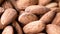 Long Life Healthy Nutritious Delicious Pile of Almond Nut Snack Macro Closeup