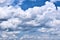 Long Line of Birds Flying in the Big Blue Sky and White Clouds