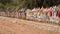 Long line of Equestrian defenders in Tamil Nadu state, India
