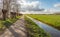 Long line of freshly pruned pollard willows along a footpath