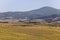 A long line of yellow bales of hay changing into a line of slender cypresses. Tuscany, Val d`Orcia