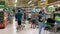 The long lines at typical grocery due to pandemic food hoarding