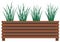 Long, low flowerpot with small green herbaceous plants. Young grass, houseplant in wooden pot