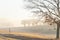 Long metal fence uphill with line of trees in early morning foggy landscape in Cartwright, Oklahoma, USA