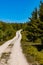 Long mountain trail in Jizera Mountains