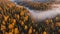 long narrow panorama autumn landscape forest in evening fog drone