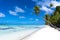 Long palm tree on a tropical white beach on a deserted island