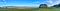 Long panorama with little forest
