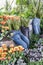 Long pants used as planters with Sansevieria, tulips and various foliage plants