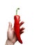 long paprika in the hand