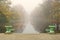 Long park pond in foggy autumn morning