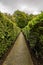 A long path to the exit or dead end inside Hazlehead hedge maze, Aberdeen, Scotland
