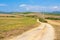 Long pathway in the field