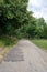 Long pathway, stunning long trees. Finsbury Park