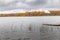 The Long pier on the lake, the Autumn at the lake Boroye, Valday national park, Russia, slow motion video, golden trees