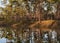 Long Pine Key Lake forest reflections