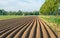 Long potato ridges in a Dutch polder