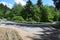 long road curve in summer forest with a dirt road ending there