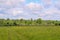 Long road through green fields, perspective, distant farmhouse, blue sky